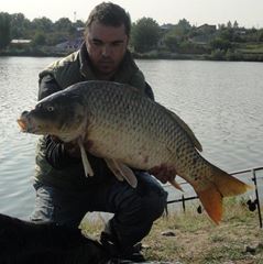 Moara Vlasiei 2 8 - 9 sep.